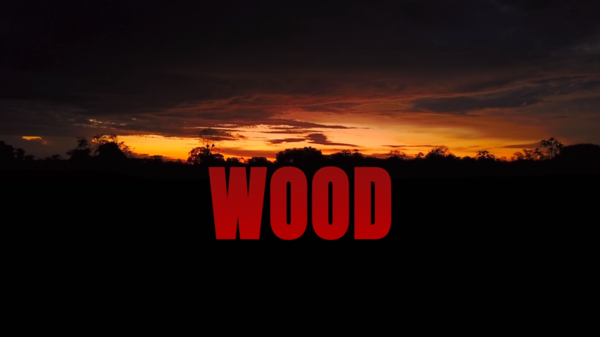 "Wood" belgeselinden ekran görüntüsü.